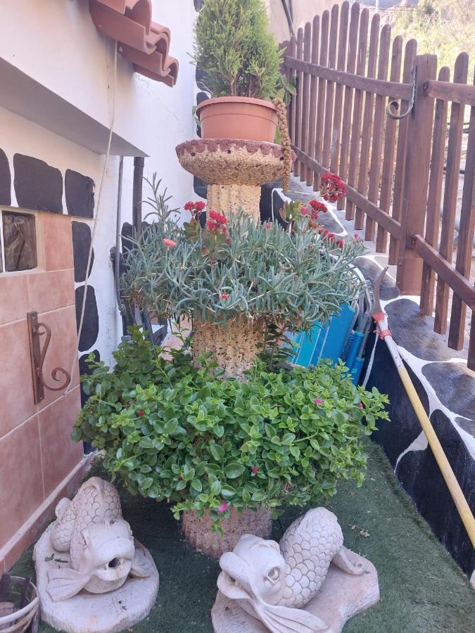 El Palmito 2 Διαμέρισμα Mogán Εξωτερικό φωτογραφία